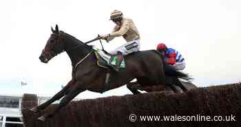 Grand National horse Broadway Boy is alive after sickening fall as announcement made