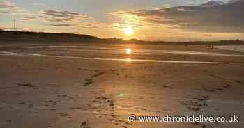 The top beach 25 minutes from Newcastle that's 'just like Ibiza' makes UK must visit list