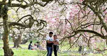 Met Office explains why it feels felt so cold despite all the sunshine in Wales