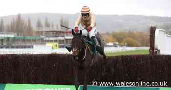 Broadway Boy update: Statement issued after horror Grand National fall