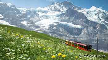 Anlegen in stürmischen Zeiten: Wieso in die Ferne schweifen, wenn das Gute liegt so nah?