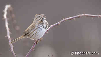 Don’t Let Manual Mode Trap You