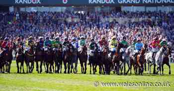 Grand National jockey receives ban after horse collapses