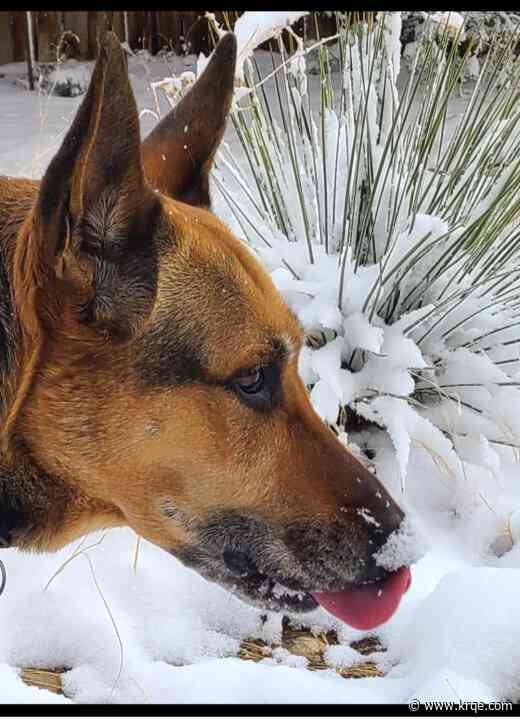 PHOTOS: Snow blankets parts of New Mexico