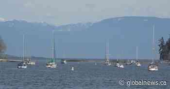 B.C. man campaigns for people from the United States to come visit