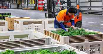 Top SA vegetable grower puts its business on the market