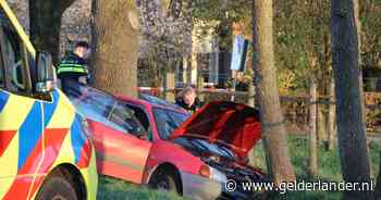 Bijrijder ernstig gewond bij botsing tegen boom, ‘bestuurder ging er vandoor’