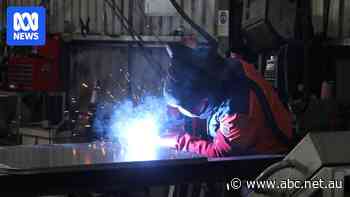 'Deals to be had' as US tariffs send steel prices plummeting