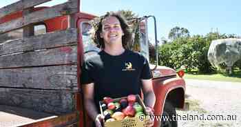 Uber fresh produce? Meet the man bringing paddock to plate to your doorstep