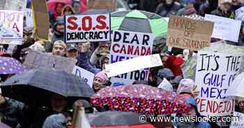 Protesten tegen Trump en Musk in Europa en VS: ’Dit is een vijandige overname’