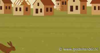 Woningbouw loopt ineens vertraging op door hazen en konijnen, bouwers zitten met de handen in het haar