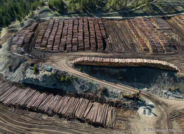 B.C. Premier to meet with Mark Carney over the soaring lumber duties imposed by U.S.