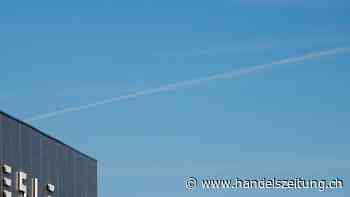 Musk spricht sich für für transatlantischen Freihandel aus