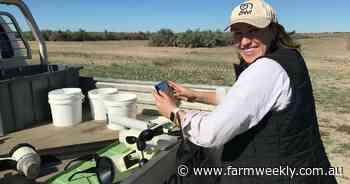 From city to farm, Georgia Welsh is helping to stop lambs chilling out