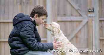 Cambridgeshire family 'over the moon' as deaf son paired with hearing dog
