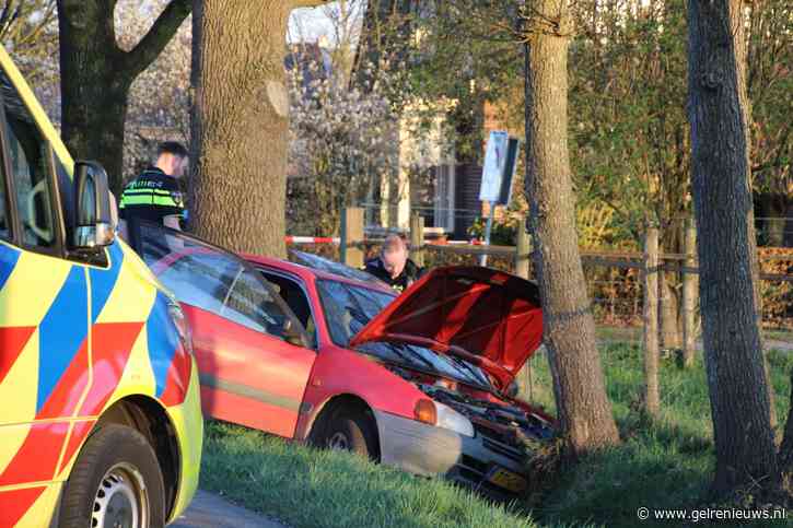 Bijrijder zwaargewond na botsing tegen boom, bestuurder gevlucht
