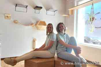 Drie gezellige livings, mooie tuin en speeltuigen alom: dierenarts Ulrike (32) opent ‘kattenhuis’ naast haar praktijk