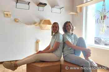 Drie gezellige livings, mooie tuin en speeltuigen alom: dierenarts Ulrike (32) opent kattenhuis