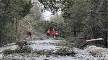 Veterans use front-line experience to help Peterborough, Ont., with ice storm recovery