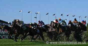 Did any horses die in Grand National 2025 as vets assess Broadway Boy and Celebre D'Allen