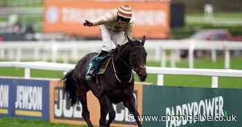 Broadway Boy's trainer issues update after horror Grand National fall