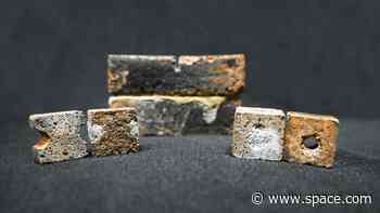 How bacteria could help build and maintain cities on the moon