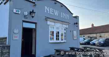 I had a pint in the pub near Bristol with a suntrap terrace, meat raffle and a dog show