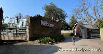Huge estate on Bristol outskirts makes the ideal sunny day out