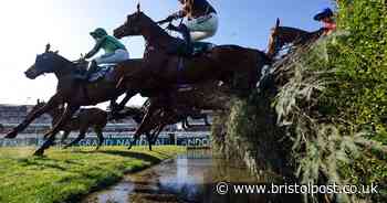 Grand National 2025 festival horses that died or were injured