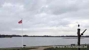 Halen en Herk willen uit verlieslatende intercommunale Schulensmeer stappen: “Blauwalgen en hoog water speelden ons parten”