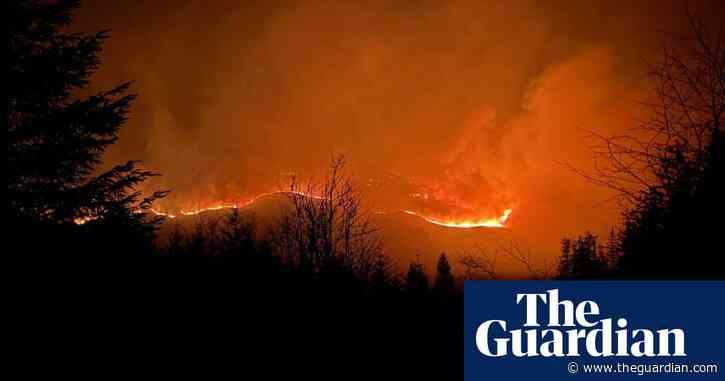 Firefighters tackle wildfire spreading over large forest area in Scotland