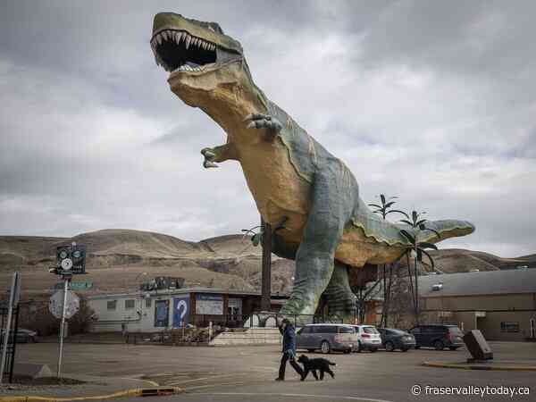 ‘Special to the world’: Supporters hope to save beloved Drumheller dinosaur