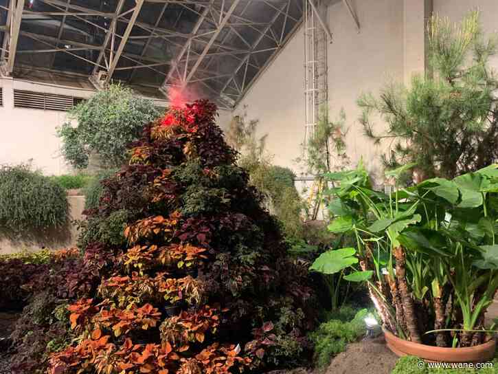 Foellinger-Freimann Botanical Conservatory wraps up the Floor is Lava to make room for new exhibits
