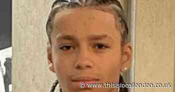 Teenager killed in ‘awful’ double stabbing in west London pictured