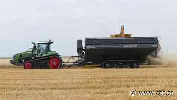 Tariffs on Canadian goods having a 'devastating effect,' U.S. farmers say