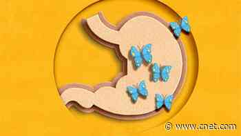 Signs Your Gut Is Unhealthy and How to Restore It