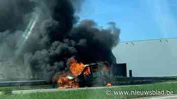Bestelwagen brandt helemaal uit op N718 in Sint-Truiden