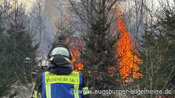 Größerer Waldbrand beschäftigt die Feuerwehr die ganze Nacht