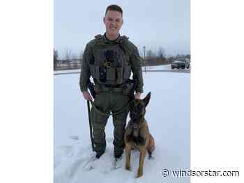 Attempted break and enter in LaSalle lands woman in jail, with help of police K9 Vinny