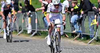 Mathieu van der Poel moet buigen voor fenomenale Tadej Pogacar na titanengevecht in Ronde van Vlaanderen