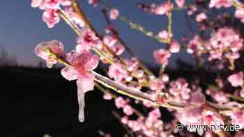 Wetterwoche im Schnellcheck: Kalte Polarluft sorgt für Frost-Gefahr
