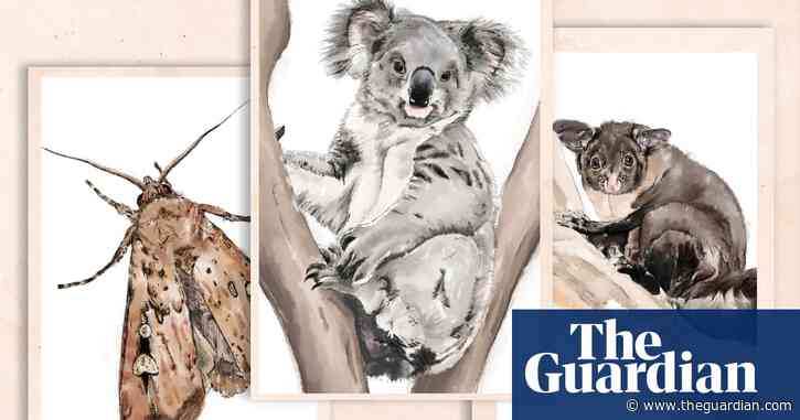 Australia is in an extinction crisis – why isn’t it an issue at this election?