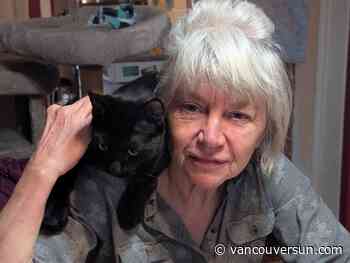 Federal Election 2025: Why the existence of satirical candidates is 'over'