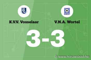 Wortel beëindigt reeks nederlagen met gelijkspel tegen Vosselaar