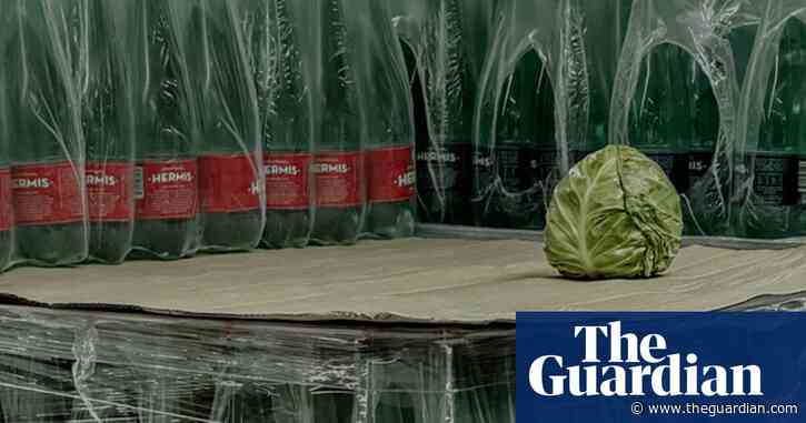 ‘The cabbage seemed isolated and alien’: Ieva Gaile’s best phone picture