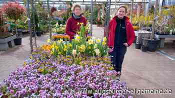 Garten-Tipps für den Frühling aus der Gärtnerei Weil