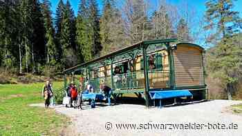Waldkindergarten in Enzklösterle: Weshalb sich die Jungen und Mädchen wohlfühlen