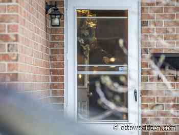 First-degree murder charges laid after femicide in Barrhaven