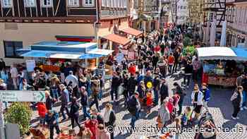 Verkaufsoffener Sonntag: Bei diesem „Calwer Frühling“ passt einfach alles