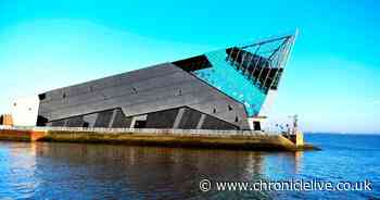 Search to find mystery 'Newcastle' couple following romantic proposal at Hull aquarium